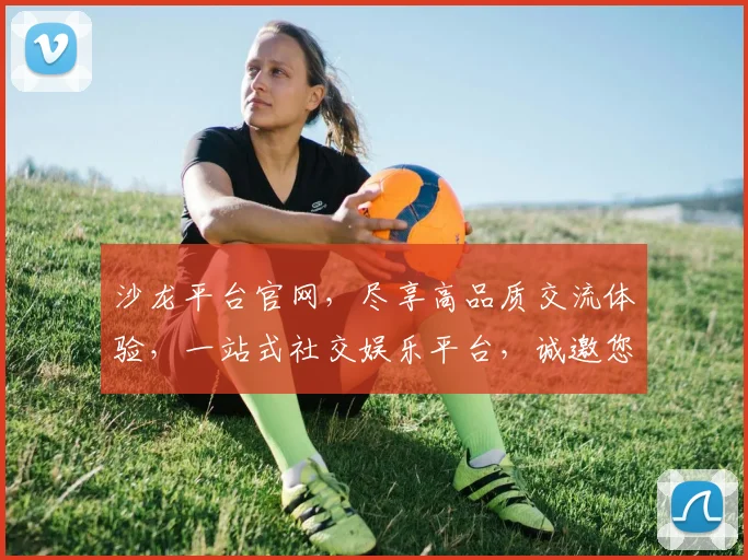 沙龙平台官网，尽享高品质交流体验，一站式社交娱乐平台，诚邀您共赴盛宴，尽享精彩