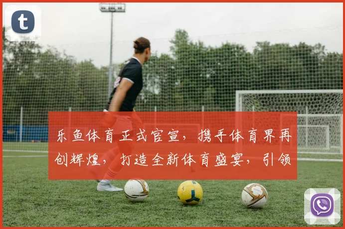 乐鱼体育正式官宣，携手体育界再创辉煌，打造全新体育盛宴，引领潮流